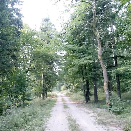 Ferienwohnung Tomo2 Postojna Exterior foto