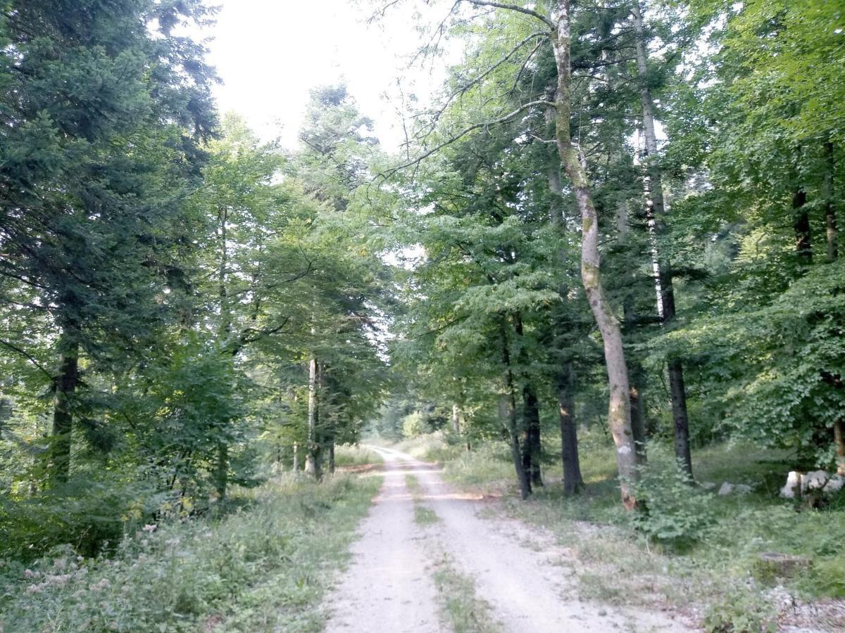 Tomo2 Appartement Postojna
