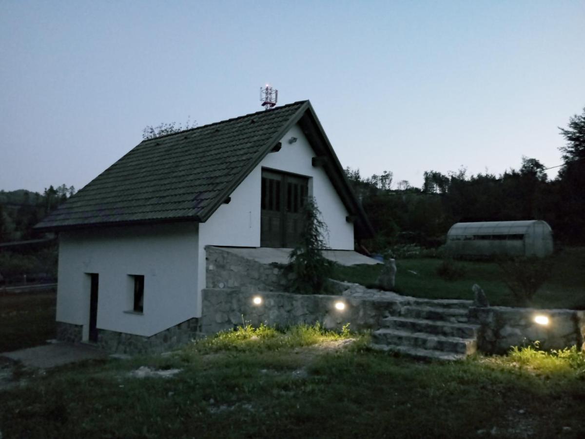 Tomo2 * Postojna