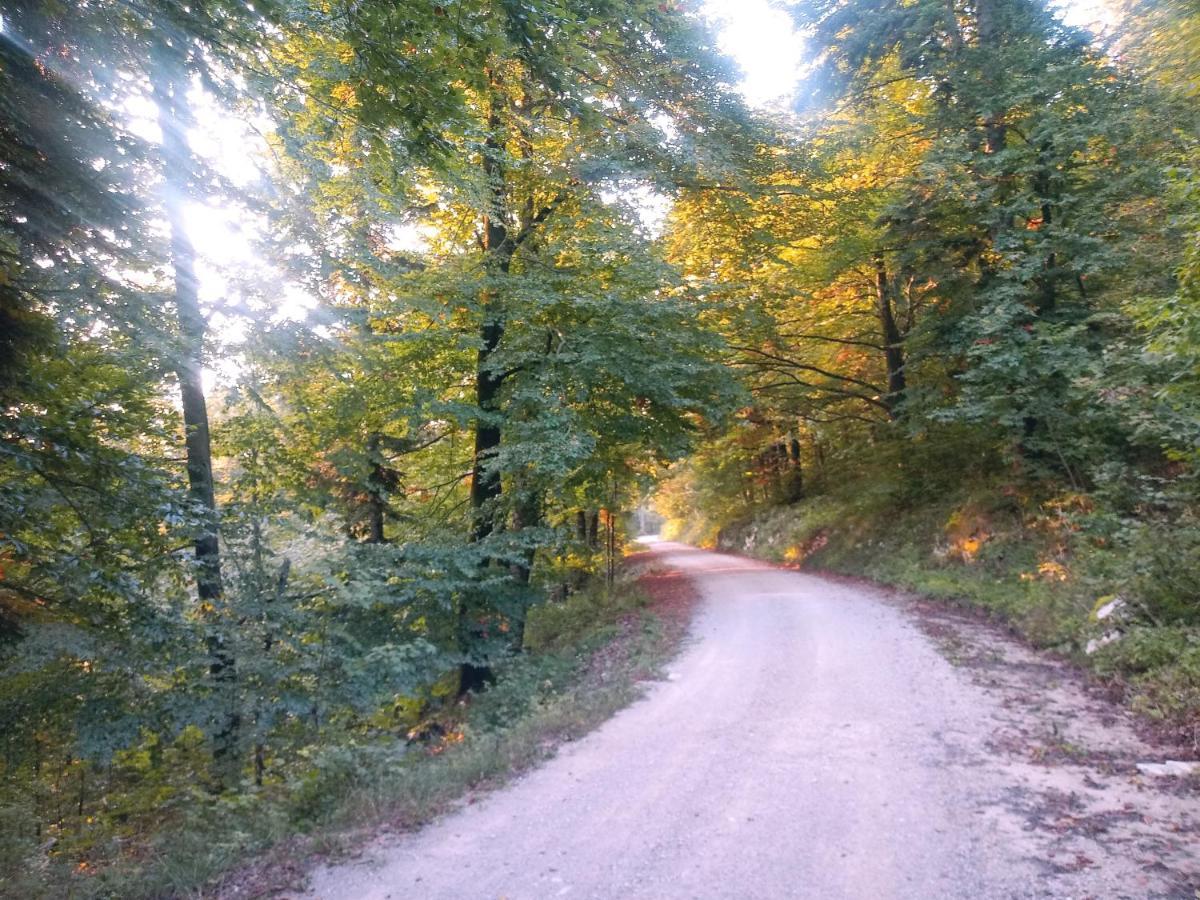 Appartement Tomo2 Postojna